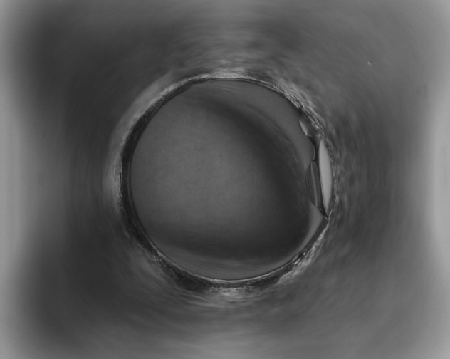 X0000093210295200710171346