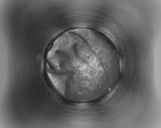 X0000093210301200710171346