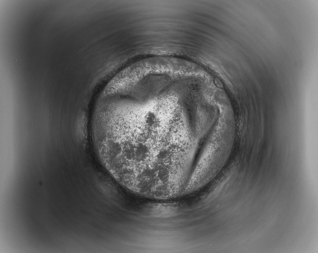 X0000093210303200710171346