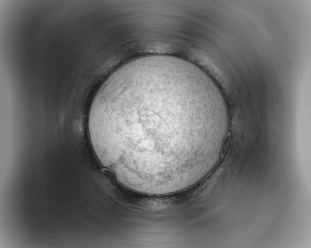 X0000093210305200710171346