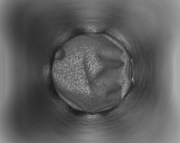 X0000093210314200710171346