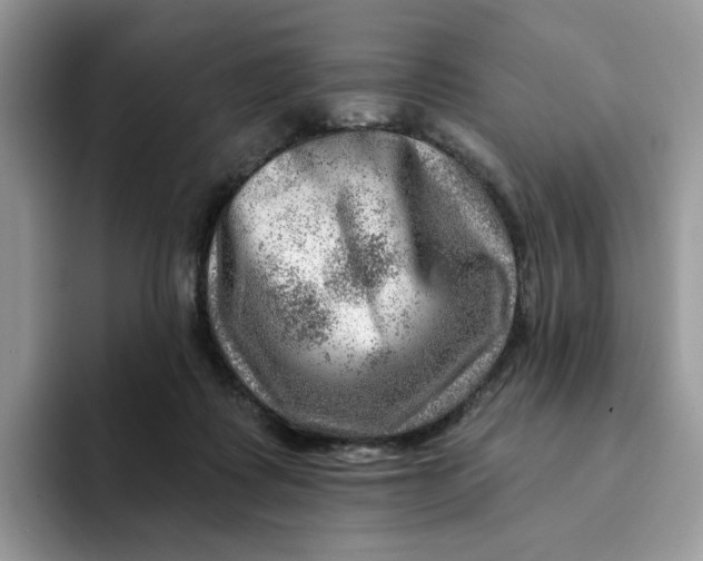 X0000093210315200710171346