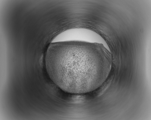 X0000093210319200710171346