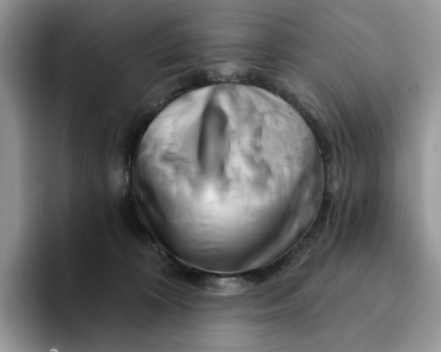 X0000093210324200710171346