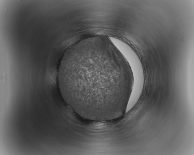 X0000093210325200710171346