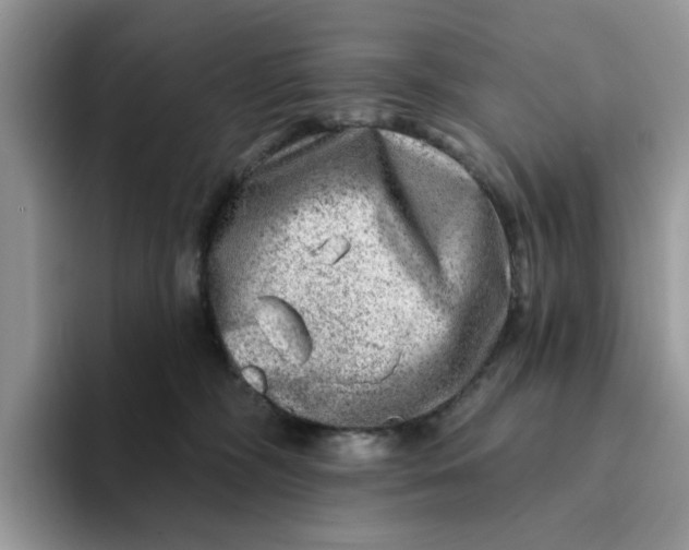 X0000093210326200710171346