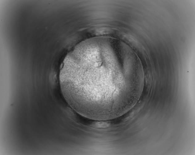 X0000093210327200710171346