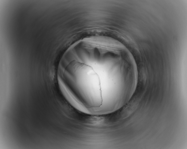 X0000093210328200710171346