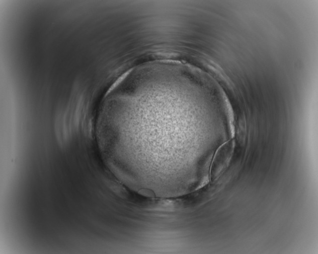 X0000093210330200710171346