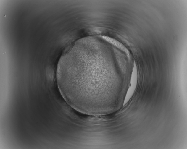 X0000093210331200710171346