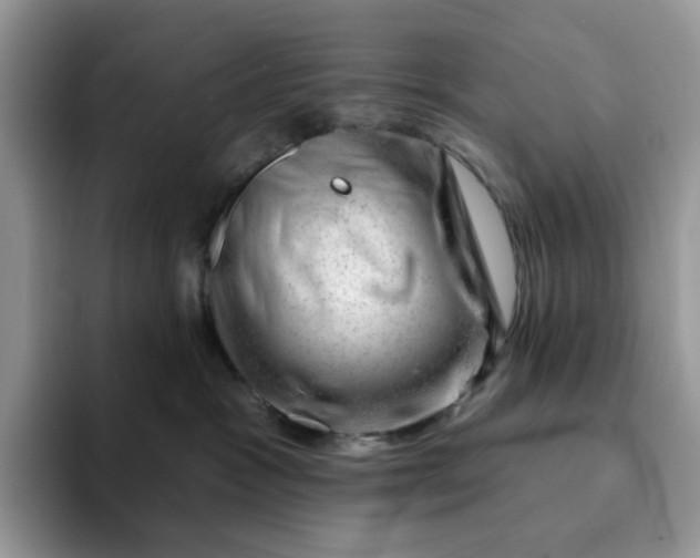 X0000093210333200710171346