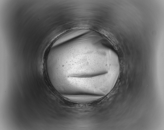 X0000093210338200710171345