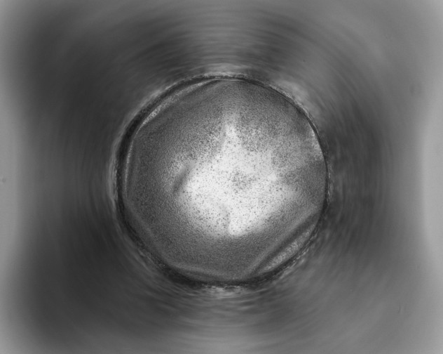 X0000093210346200710171345