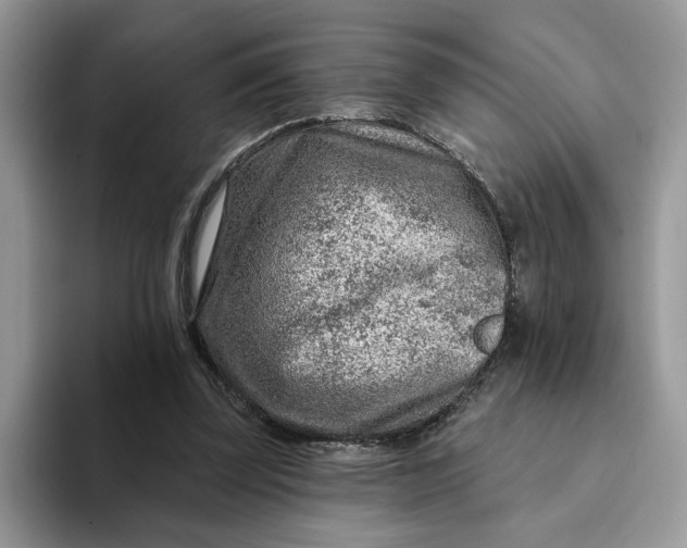 X0000093210347200710171345