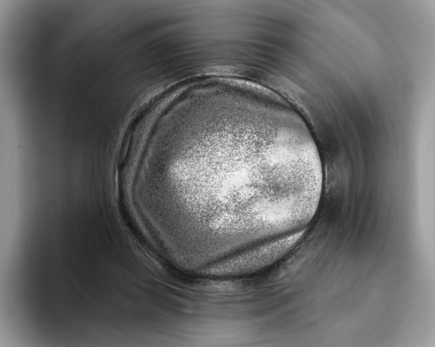 X0000093210349200710171345