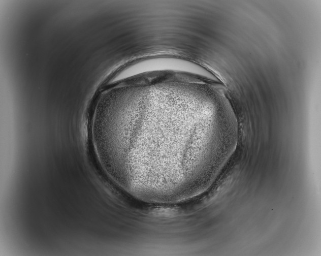 X0000093210350200710171345