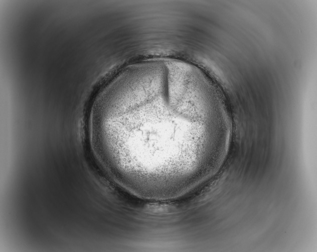 X0000093210354200710171345