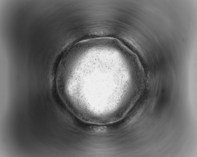 X0000093210355200710171345