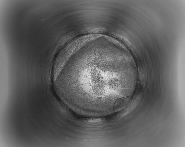 X0000093210357200710171345