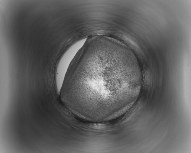 X0000093210361200710171345