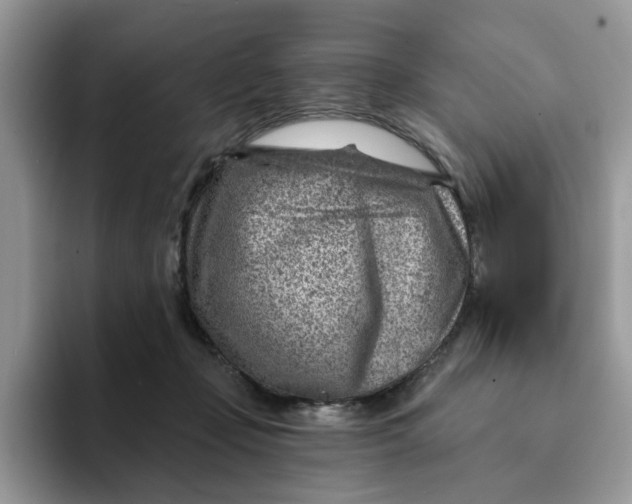 X0000093210365200710171345