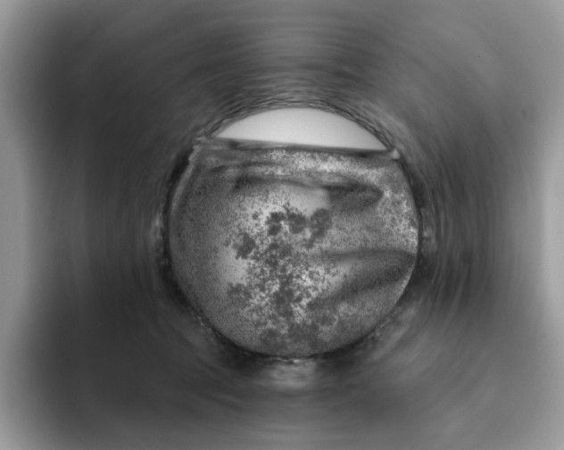 X0000093210369200710171345