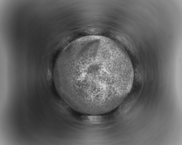 X0000093210371200710171345