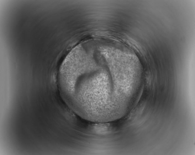 X0000093210373200710171345