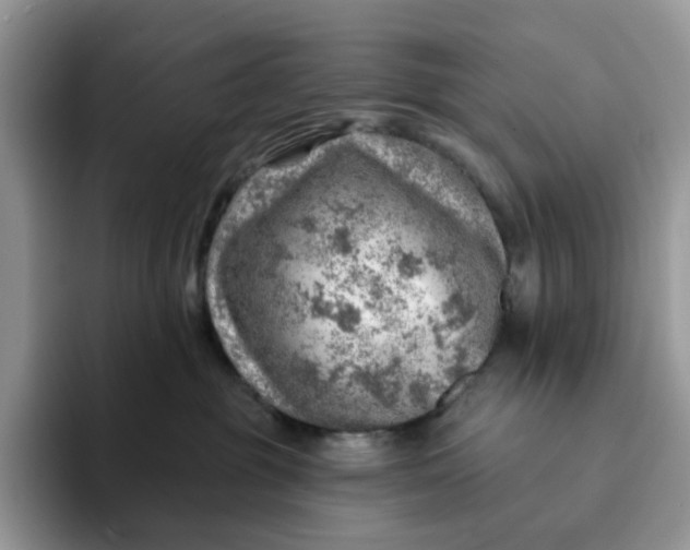 X0000093210381200710171345