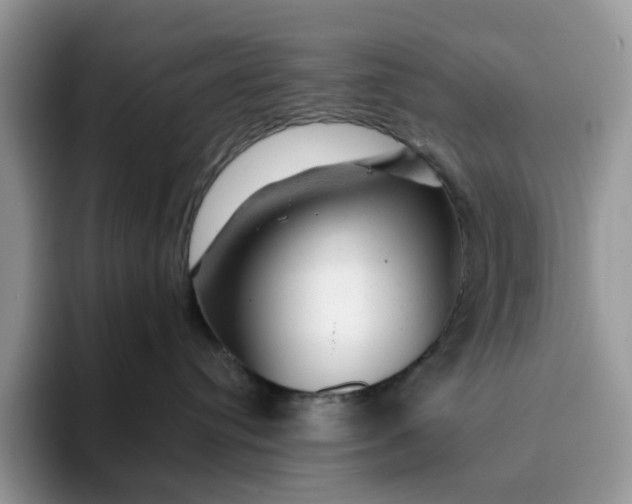 X0000093210384200710171345