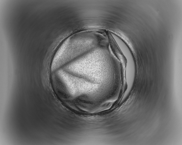 X0000093210385200710171345