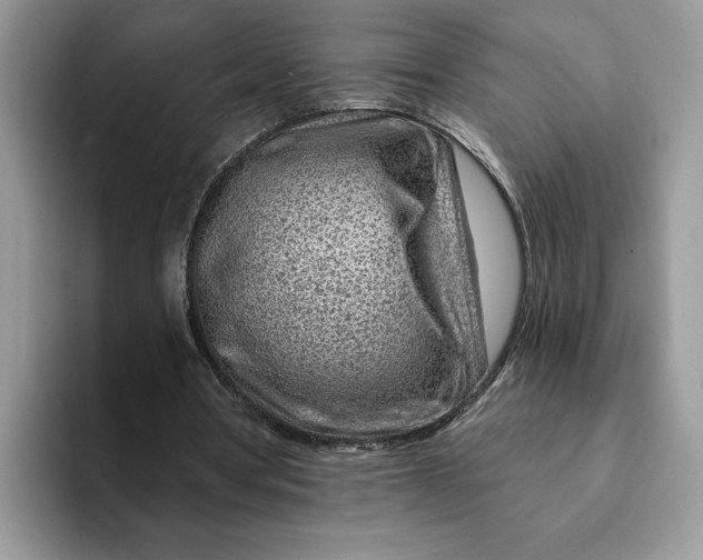 X0000093210386200710171345