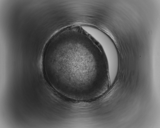 X0000093210387200710171345