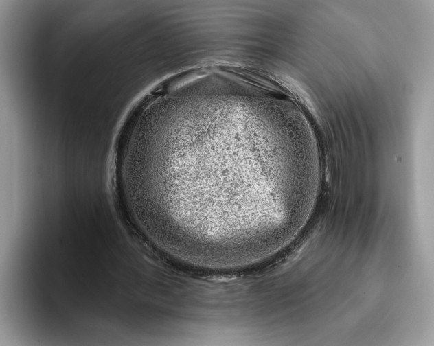 X0000093210388200710171345