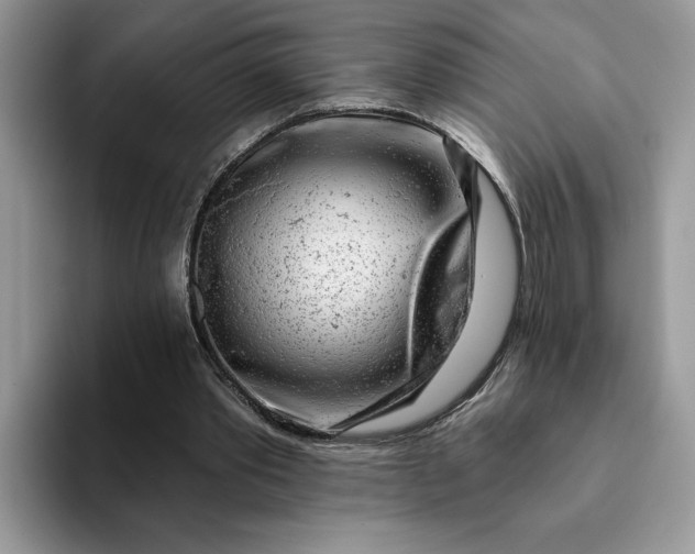 X0000093210389200710171345