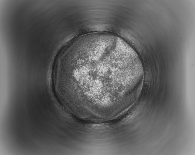 X0000093210394200710171345