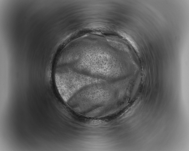 X0000093210399200710171345