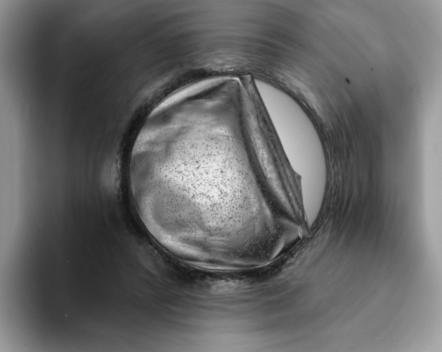 X0000093210400200710171345