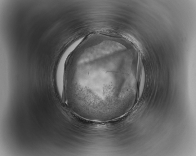 X0000093210405200710171345