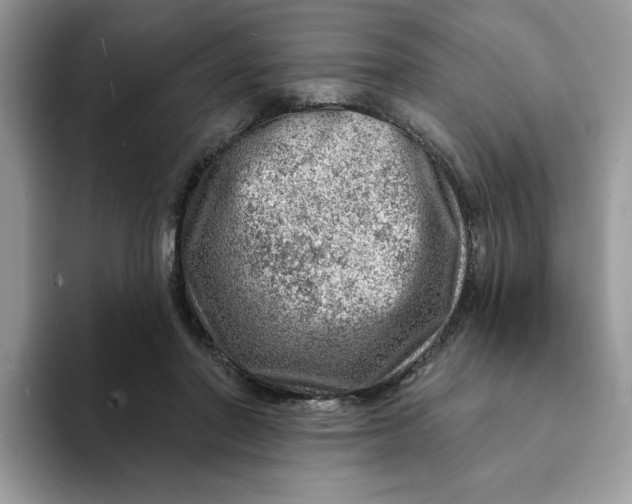 X0000093210406200710171345