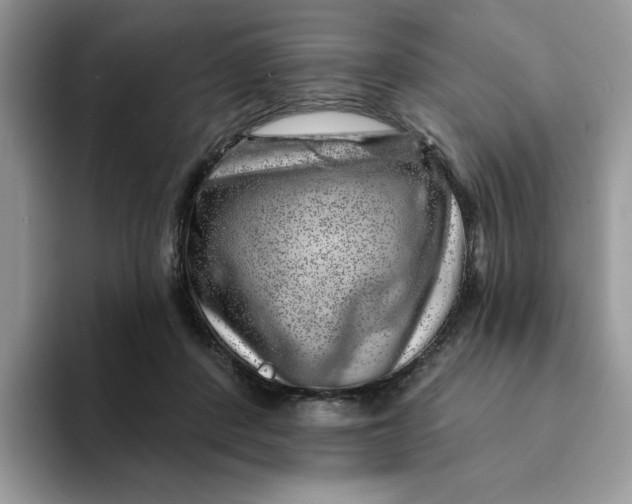 X0000093210408200710171345