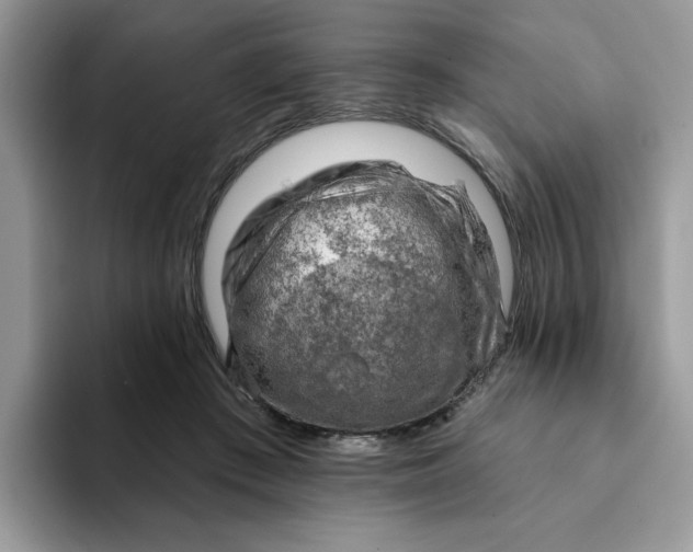 X0000093210409200710171345