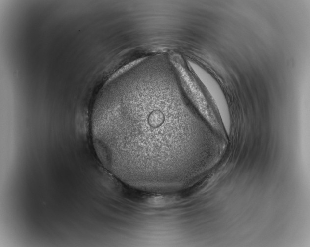 X0000093210413200710171345