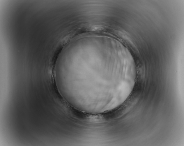 X0000093210415200710171345