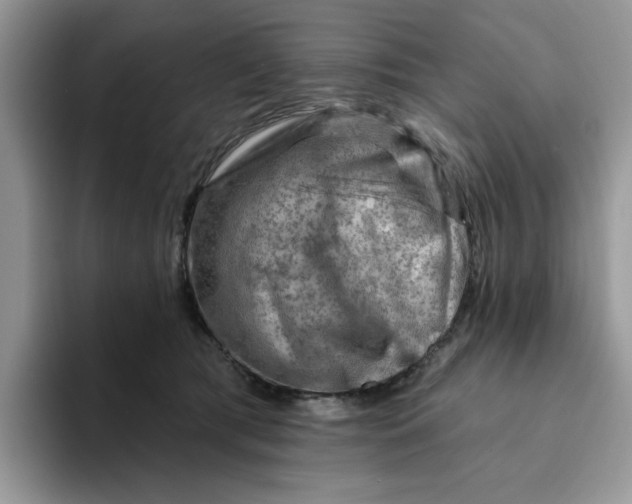 X0000093210417200710171345