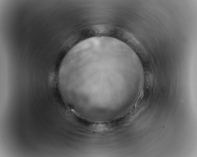 X0000093210419200710171345