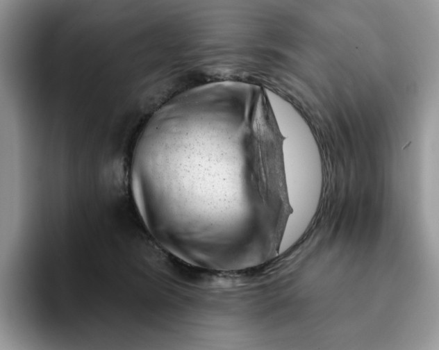 X0000093210420200710171345