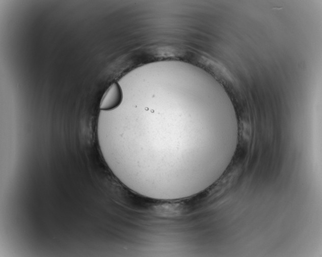 X0000093210422200710171345