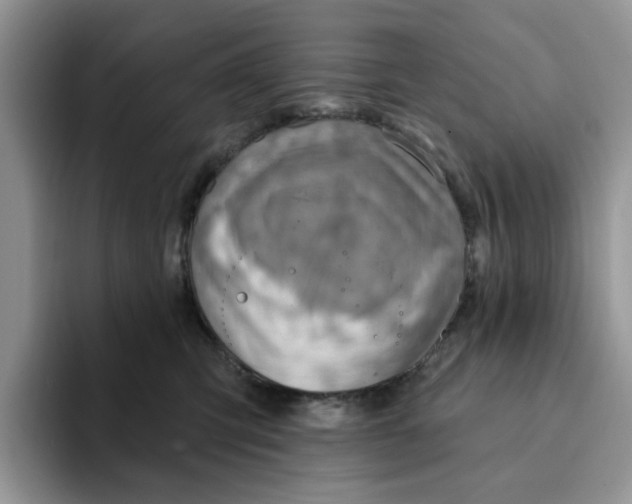 X0000093210423200710171344