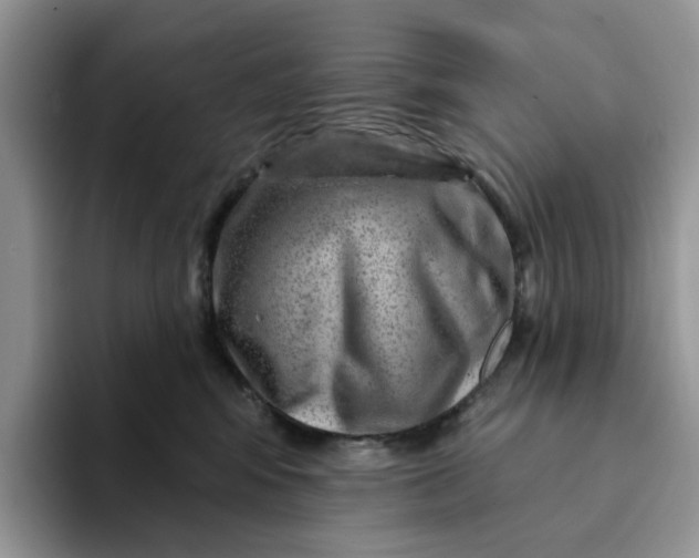 X0000093210424200710171344